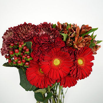 Red Spice DIY Flower Kit In a Vase