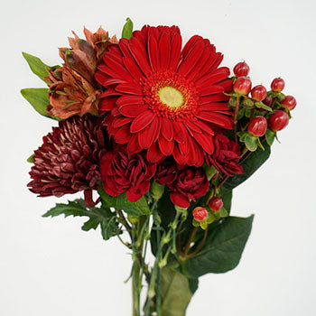 Red Spice DIY Flower Kit Up Close