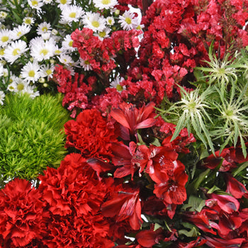 Red Textured Filler DIY Flower Kit Up Close
