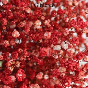 Baby's Breath Flower Rust Red
