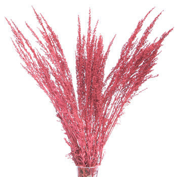 Red Airbrushed Sage