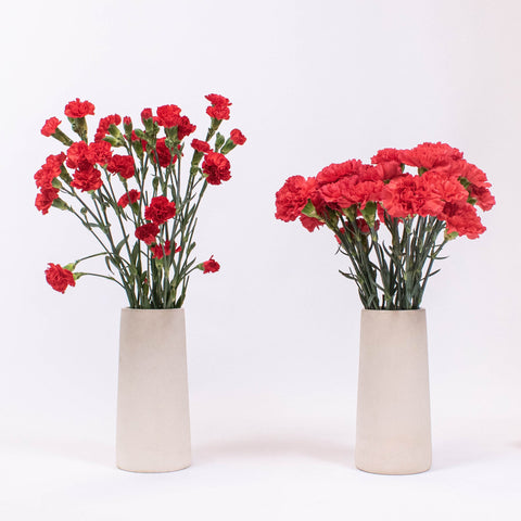 Red Flower Kit Recipe