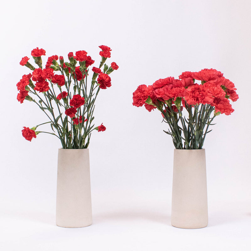Red Flower Kit Recipe