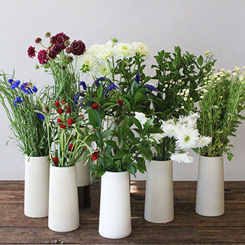 Red and Blue Wildflowers DIY Flower Combo Pack