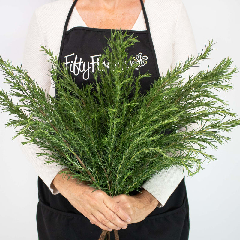 Fresh Cut Rosemary Herb Wholesale