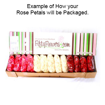 Pinks Real Roses Petals