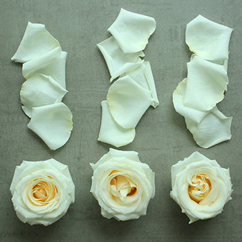 Roses and Petals White DIY Flower Kit Flatlay
