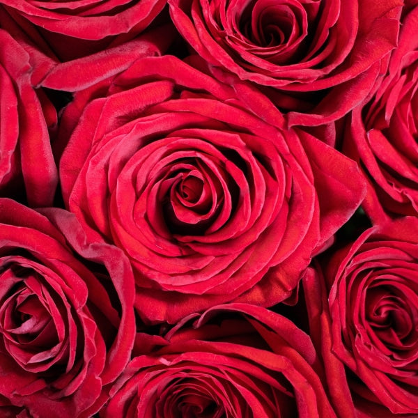 Roses Spiral Valentines Flower Arrangement Arrangements
