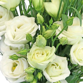 White Mini Lisianthus Wedding Flower