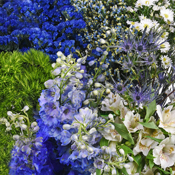 Royal Blue Textured Filler DIY Flower Kit Up Close