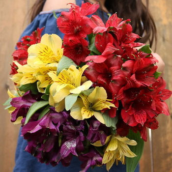 Save the Alstroemeria Flowers