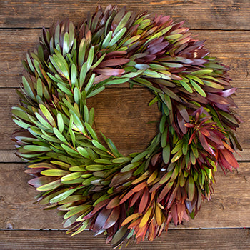 Prime Day Fresh Safari Sunset Fall Wreath