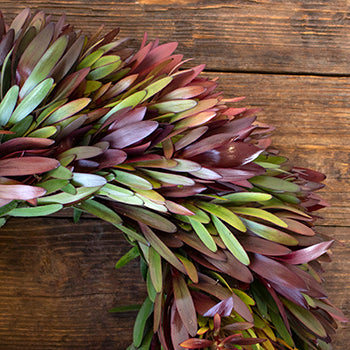 Prime Day Fresh Safari Sunset Fall Wreath