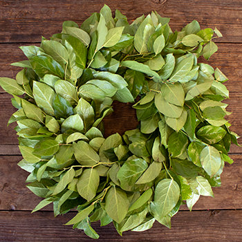 Prime Day Fresh Salal Wreaths
