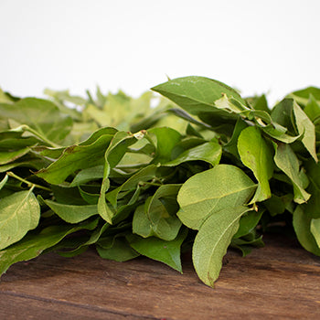 Prime Day Fresh Salal Wreaths