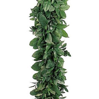 Salal and Ruscus Greens Garland