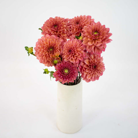 Salmon Dahlia Flower Bunch in Vase