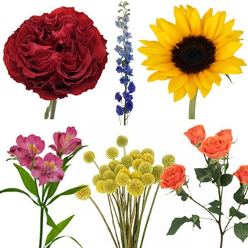 Sangria Festival Fresh DIY Flower Kit Bunch