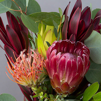 Scarlet Ribbon Red Tropical DIY Flower Kit Bunch