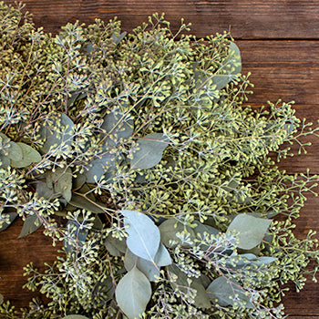 Prime Day Fresh Seeded Eucalyptus Wreaths