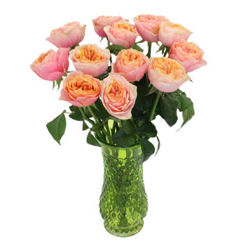 Sherbet Orange Garden Wholesale Roses In a vase