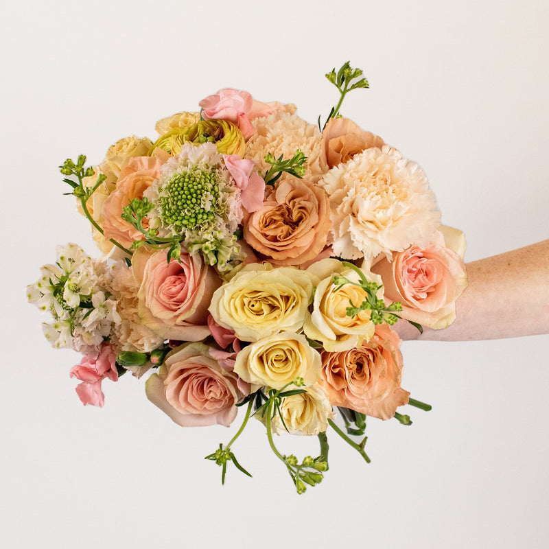 Shimmer Peach Rose Flower in Hand