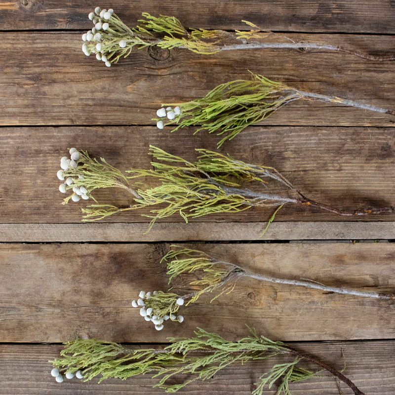 Silver Brunia Balls Flower Stem
