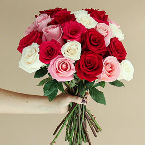 Something Special Vday Color Rose Bouquet Arrangements