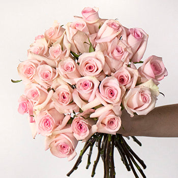 Light pink rose bulk wedding flowers