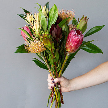 Spider Red Tropical Wholesale DIY Flower Kit In a Hand