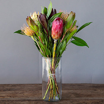 Spider Red Tropical DIY Flower Kit In a Vase