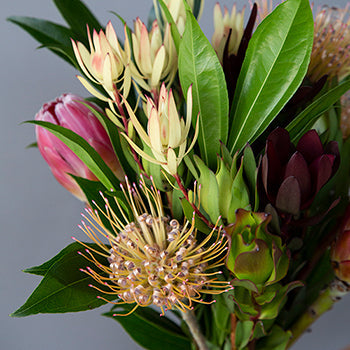 Spider Red Tropical DIY Flower Kit Bunch