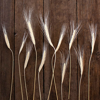 Dried wheat grass DIY wedding flowers