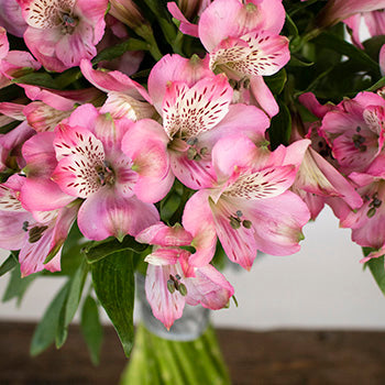 Farm Fresh Pink Alstroemeria Spiral Arrangement