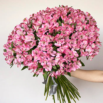 Farm Fresh Pink Alstroemeria Spiral Arrangement