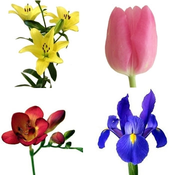 Spring Flowers Tulips, Iris, Lily, and Freesia DIY Flower Kit Bunch