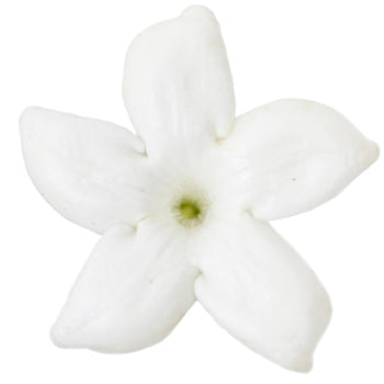 Bulk Stephanotis White Flower