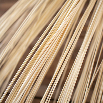 Dried Flowers Texture Straw Palm