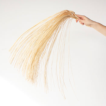 Dried straw palm wholesale flowers