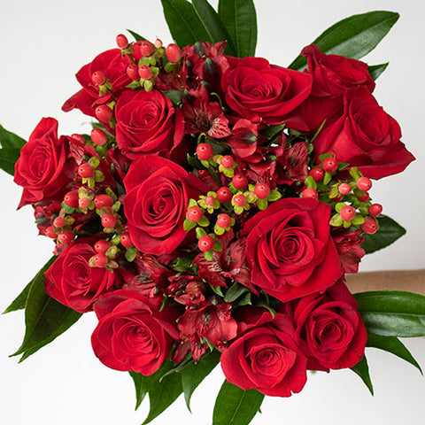 Sultry Red Flower in Hand