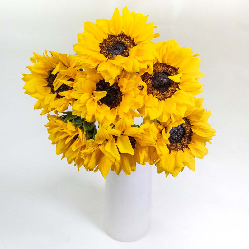 Yellow Sunflower Wholesale Flowers In a Vase