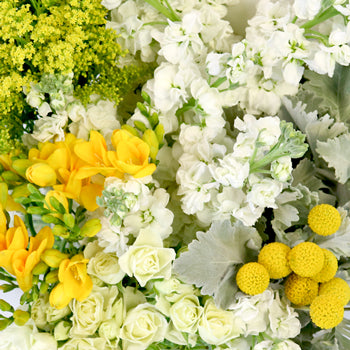 Sunshine Textured Filler DIY Flower Kit Up Close