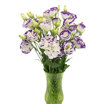 Purple Tipped Lisianthus Wedding Flower