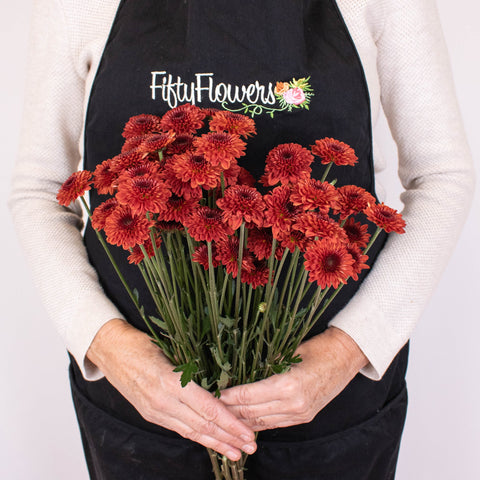 Rusty Red Button Pom Bunch in Hand