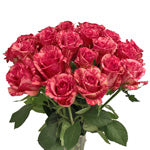Posh Red Dahlia Style Cushion Flower