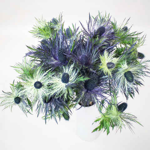 Deep Blue Thistle Wholesale In a Vase