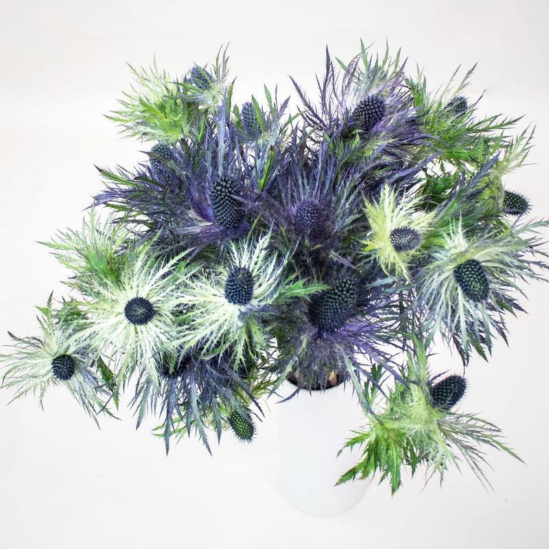 Deep Blue Thistle Wholesale In a Vase