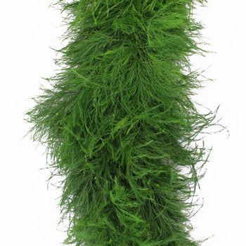 Tree Fern Garland