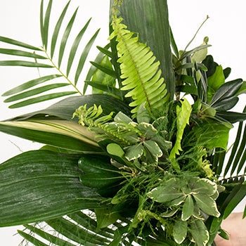 Waves of Love Tropical Greenery Bouquet and Boutonniere