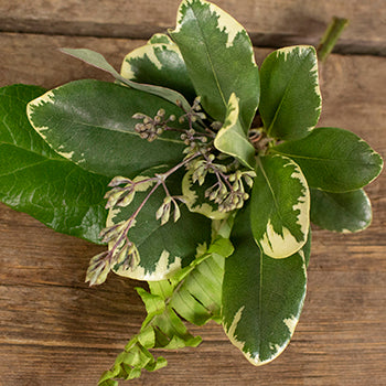 Waves of Love Tropical Greenery Bouquet and Boutonniere